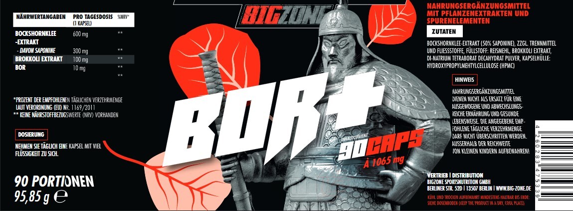 Big Zone Bor+ (90 Kapseln)
